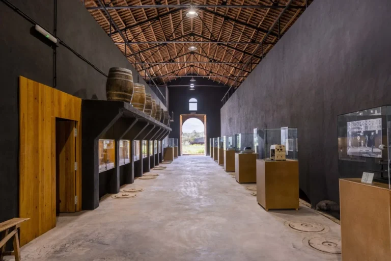 La nave del museo del vino — Besalduch Valls